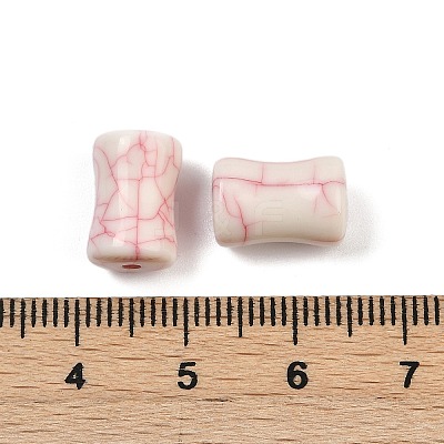 Acrylic Imitation Turquoise Beads LS-OACR-S047-10-1
