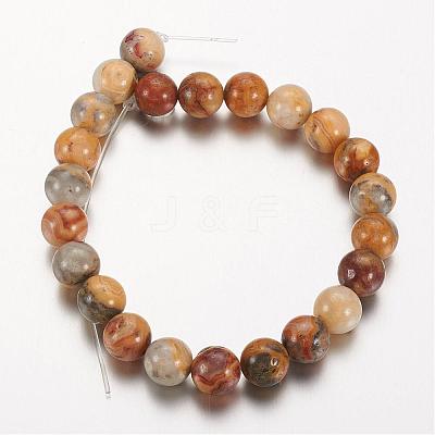 Natural Crazy Lace Agate Round Bead Strands G-M272-03-8mm-1