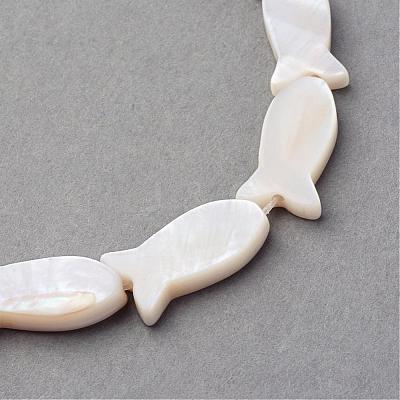 Natural Sea Shell Beads Strands SSHEL-Q296-39-1