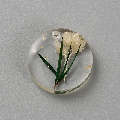 Transparent Resin Pendants LS-RESI-TAC0018-35-1