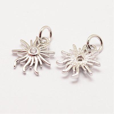 Brass Micro Pave Grade AAA Cubic Zirconia Charms ZIRC-G090-21P-NR-1