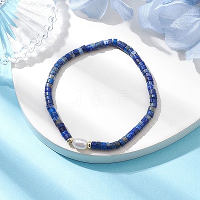 Natural Lapis Lazuli and Pearl Beads Btacelets BJEW-JB10681-01-1