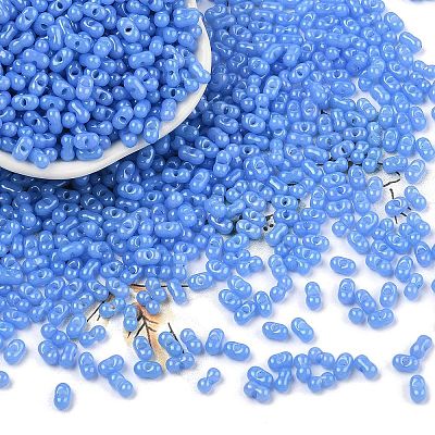Baking Paint Glass Seed Beads SEED-L011-09A-05-1