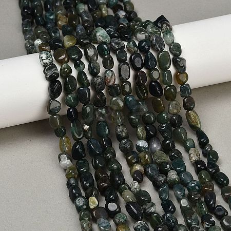 Natural Moss Agate Beads Strands G-Q060-D10-1