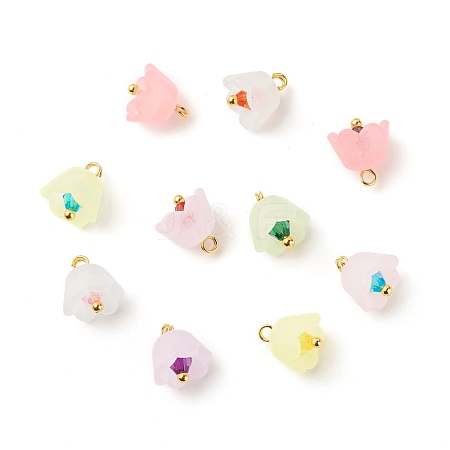 Transparent Acrylic Charms PALLOY-JF01603-02-1