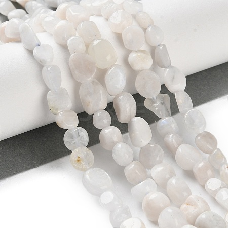Natural Rainbow Moonstone Beads Strands G-P497-01C-63-1