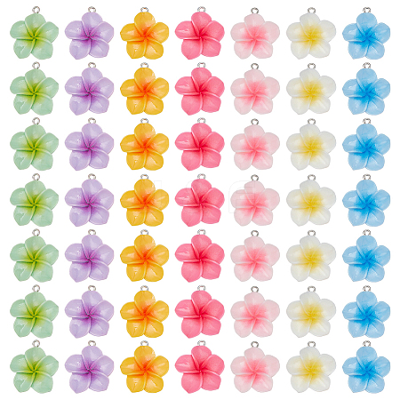 49Pcs 7 Colors Opaque Resin Pendants CRES-PH0001-30-1