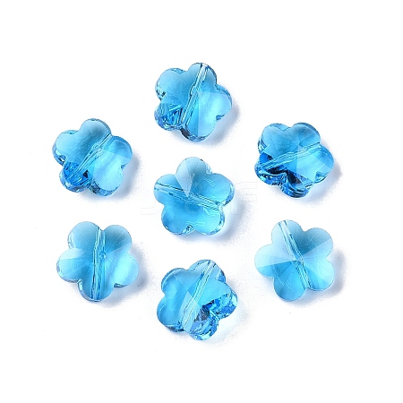 Transparent Glass Beads GLAA-Q066-14mm-C09-1