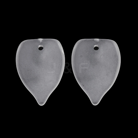 Frosted Acrylic Pendants AC-CBA1E6C-02-1