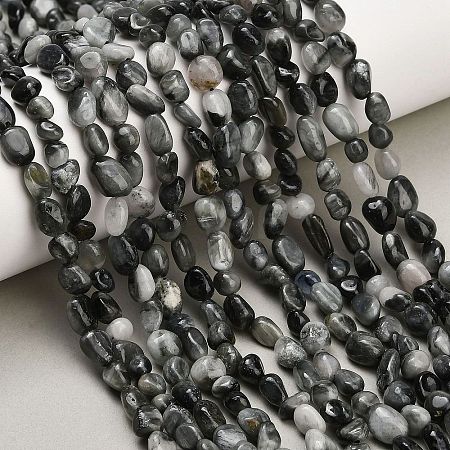 Natural Eagle Eye Stone Beads Strands G-D108-A02-04-1
