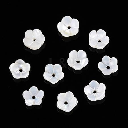 Natural White Shell Beads SSHEL-S260-053-1