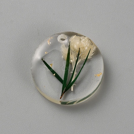 Transparent Resin Pendants LS-RESI-TAC0018-35-1