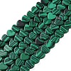 Synthetic Malachite Beads Strands G-M403-A02-02-1