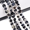 Natural Agate Beads Strands G-Q606-42B-B01-1