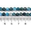 Natural Apatite Beads Strands X-G-F770-C02-02-5