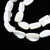 Natural Trochid Shell/Trochus Shell Beads Strands SSHEL-S266-014A-3