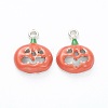 Alloy Enamel Pendants LS-ENAM-M044-16P-1