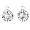 Non-Tarnish 304 Stainless Steel Charms STAS-L269-070P-2