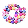 Natural Freshwater Shell Beads Strands SHEL-S278-021-2