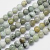 Natural Jadeite Round Bead Strands G-I163-10mm-1