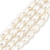 Natural Cultured Freshwater Pearl Beads Strands PEAR-P062-01D-1