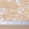 MIYUKI Delica Beads Small SEED-JP0008-DBS0205-4