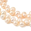 Natural Cultured Freshwater Pearl Beads Strands PEAR-I007-04E-02B-4