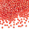 Picasso Baking Paint Glass Seed Beads SEED-TA0001-62H-2