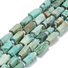 Natural Peruvian Turquoise(Jasper) Beads Strands G-NH0072-E04-01-2