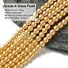 Eco-Friendly Dyed Glass Pearl Round Beads Strands HY-A002-6mm-RB112-2