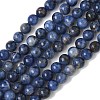 Natural Sodalite Beads Strands G-G515-6mm-07-5