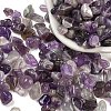 Natural Amethyst Chip Beads X-G-M364-12B-3