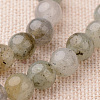 Natural Labradorite Round Beads Strands G-I168-03-6mm-1