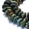 Natural African Turquoise(Jasper) Beads Strands G-K245-H14-03-3