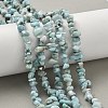 Natural Larimar Beads Strands G-P302-03-7