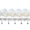 Opalite Beads Strands G-B022-24C-5