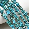 Natural HuBei Turquoise Bead Strands G-H345-A01-06-1