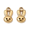 304 Stainless Steel Charms SA-CBABF3F-13G-07-1