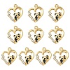 Alloy Enamel Pendants FIND-YW0002-15-1