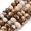 Natural Petrified Wood Beads Strands G-C259-A06-8x12mm-02-2