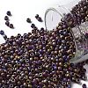 TOHO 11/0 Round Beads SEED-TR11-0406F-1