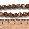 Natural Trochus Shell Beads Strands SH-CBAFEDD-02B-2