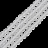 Transparent Glass Beads Strands X1-EGLA-A034-T8mm-MD19-2