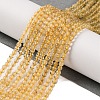 Natural Gold Rutilated Quartz Beads Strands G-A235-B06-01-2