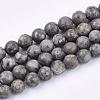 Natural Maifanite/Maifan Stone Beads Strands G-Q462-10mm-21-1