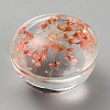 Transparent Glass Cabochons GLAA-WH0039-19G-2