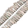 Natural Variscite Beads Strands G-Q616-06E-1