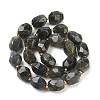 Natural Labradorite Beads Strands G-P541-A01-08-2