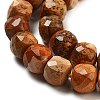 Natural Picture Jasper Beads Strands G-H028-A06-01-4