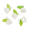 Acrylic with ABS Plastic Imitation Pearl Pendants PALLOY-JF05659-12-2